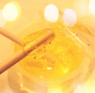 �ʉَq������Ŕ��������船